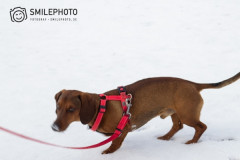1_smilePhoto-238