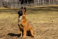 1_smilePhoto-239