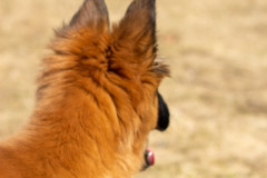 1_smilePhoto-241