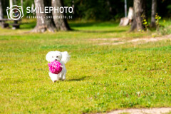 IMG_1086
