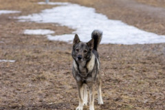 smilePhoto-234
