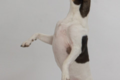 smilePhoto-6