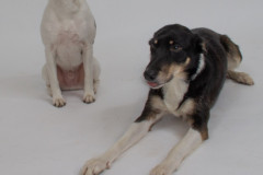 smilePhoto-9